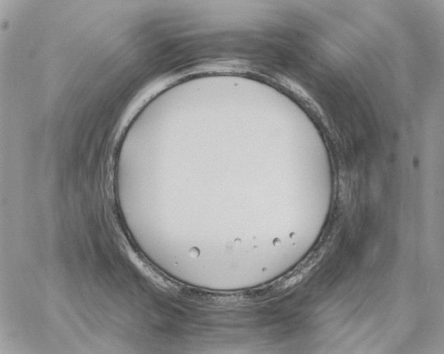 X0000061721421200512302108