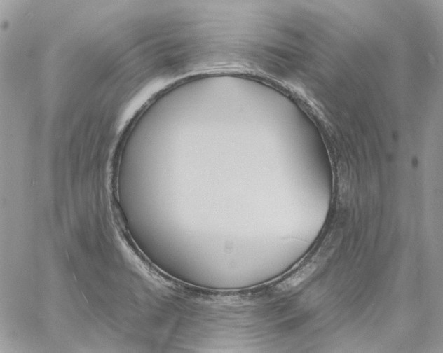 X0000061721422200512302108