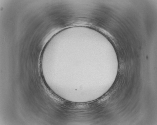 X0000061721423200512302108