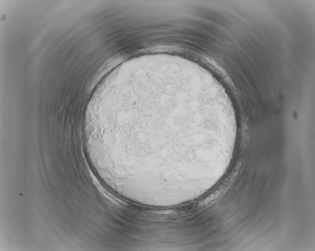 X0000061721425200512302108