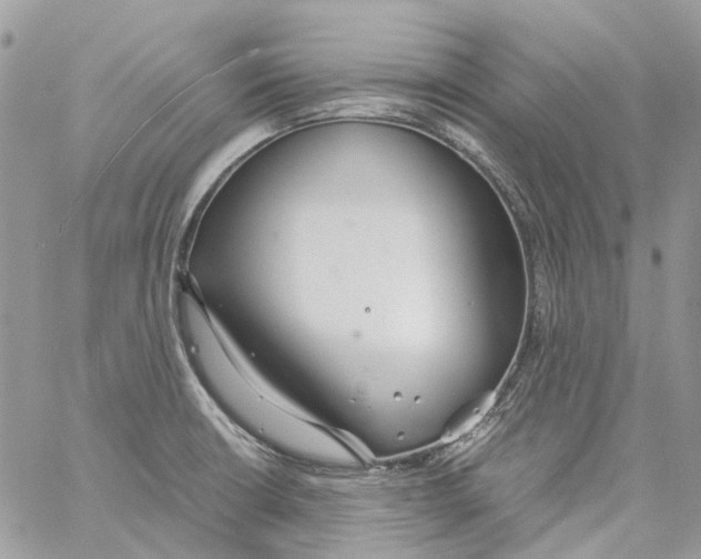 X0000061721426200512302108