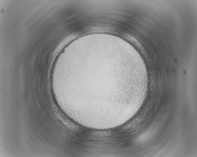 X0000061721427200512302108