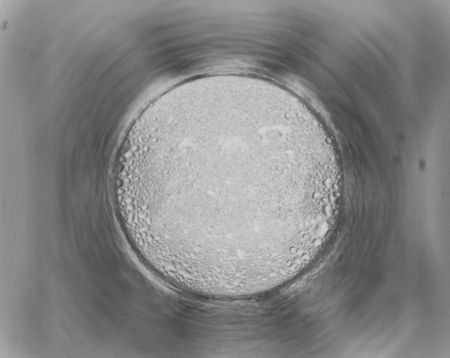 X0000061721429200512302108