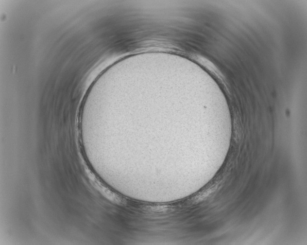 X0000061721431200512302108