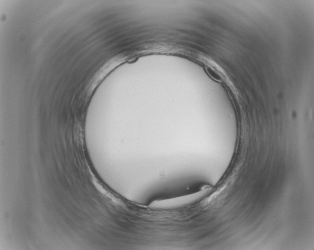 X0000061721433200512302108