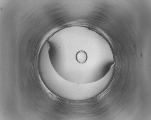 X0000061721434200512302108