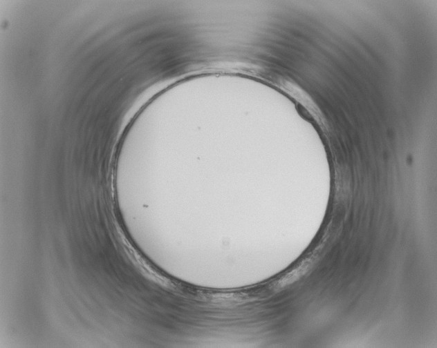 X0000061721436200512302108