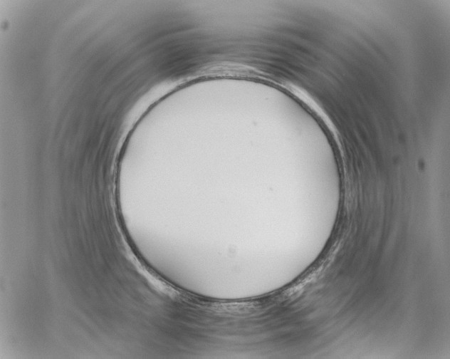 X0000061721437200512302108