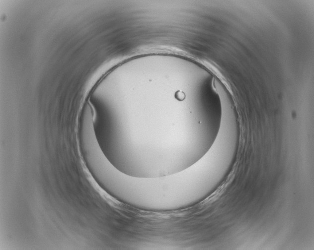 X0000061721438200512302108