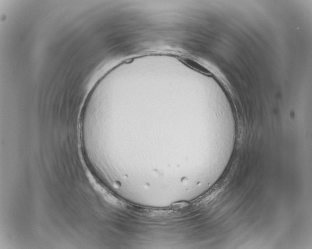 X0000061721439200512302108