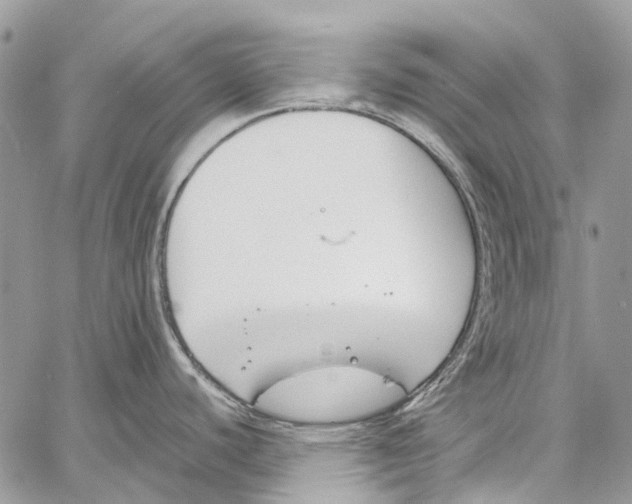 X0000061721440200512302108