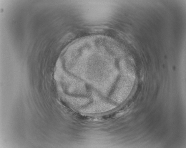 X0000061721441200512302107