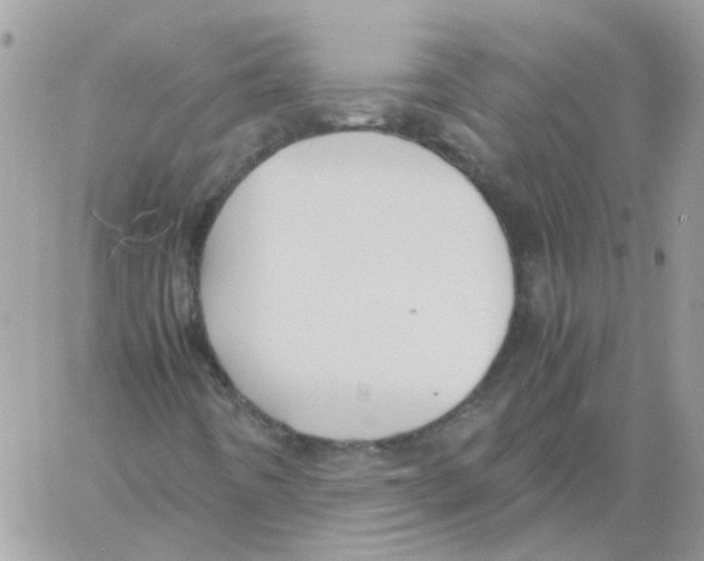 X0000061721442200512302107