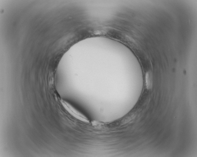 X0000061721443200512302107