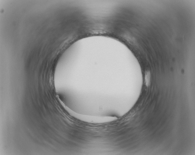 X0000061721444200512302107