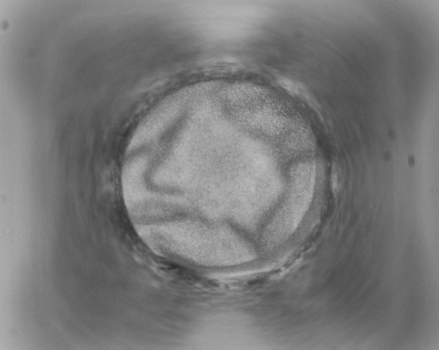 X0000061721445200512302107