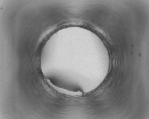 X0000061721448200512302107