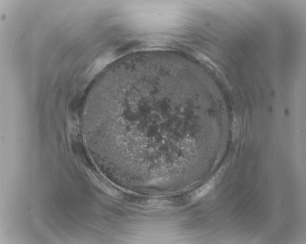 X0000061721449200512302107