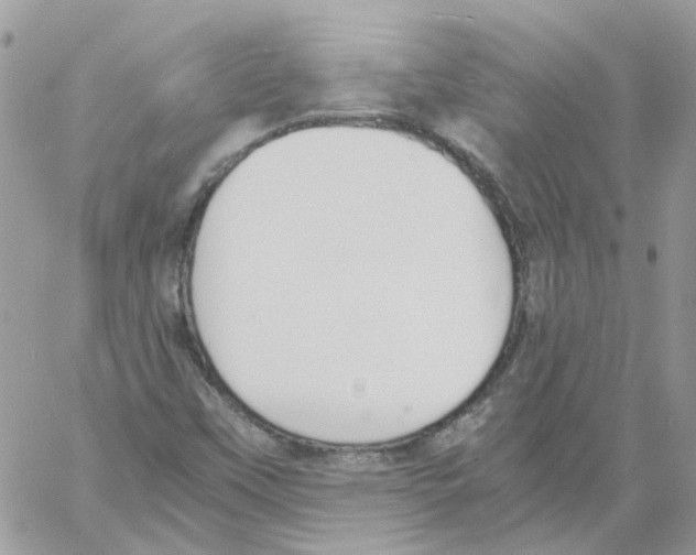 X0000061721451200512302107