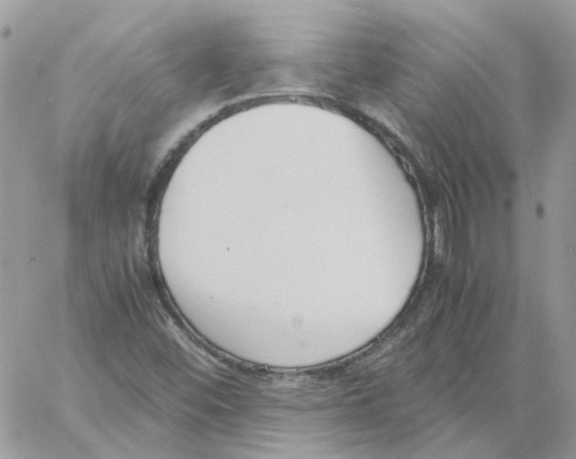 X0000061721452200512302107