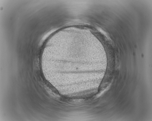 X0000061721453200512302107