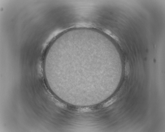 X0000061721454200512302107