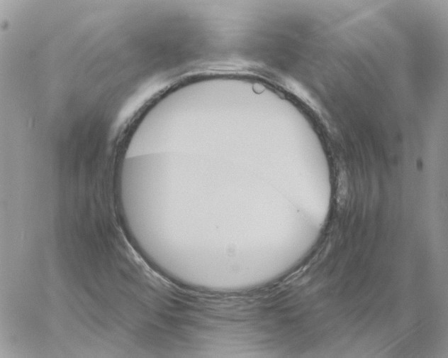 X0000061721456200512302107