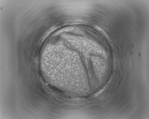 X0000061721457200512302107