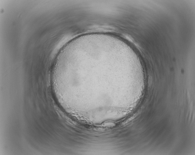 X0000061721459200512302107