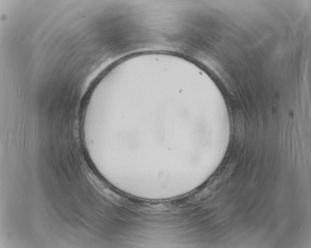 X0000061721460200512302107