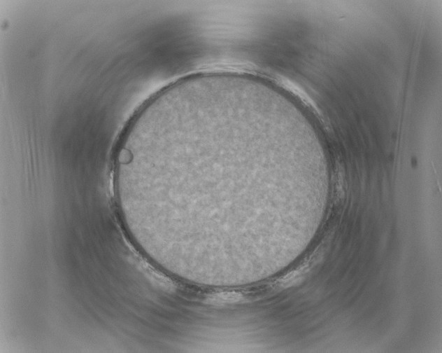 X0000061721462200512302107