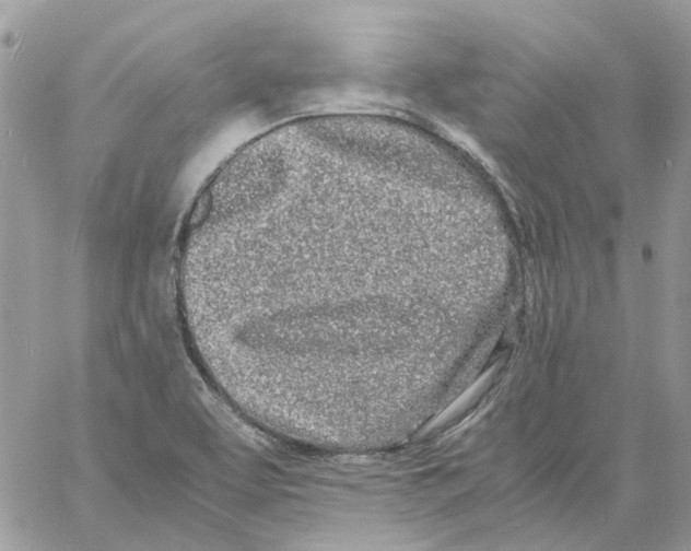 X0000061721463200512302107