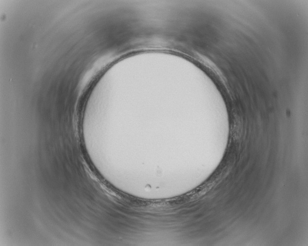 X0000061721464200512302107