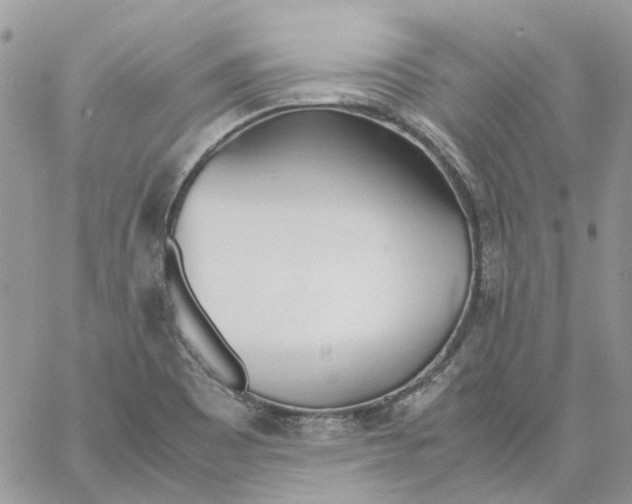 X0000061721465200512302107