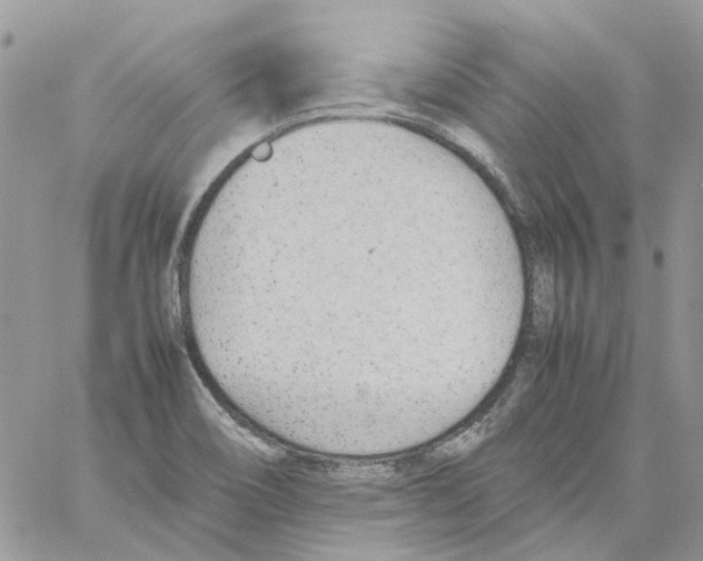 X0000061721466200512302107