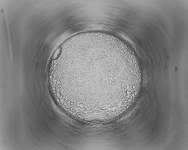 X0000061721467200512302107