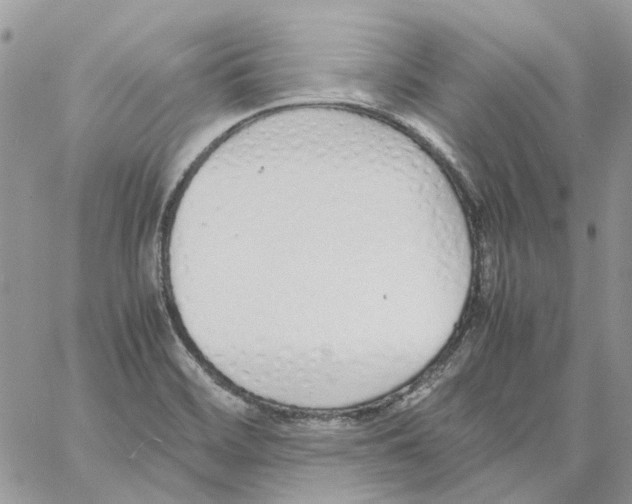 X0000061721468200512302107