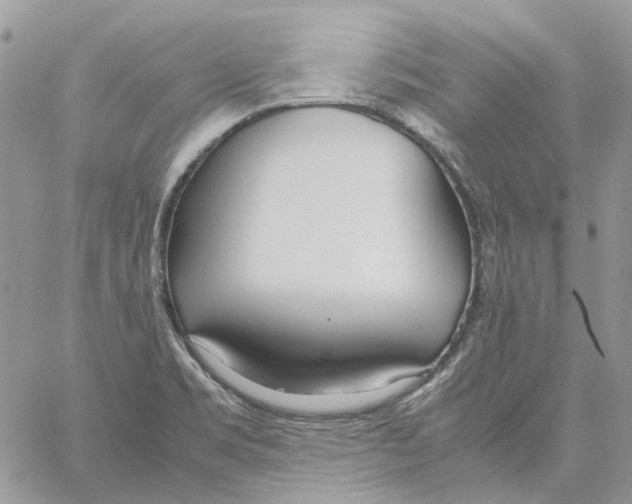 X0000061721469200512302107