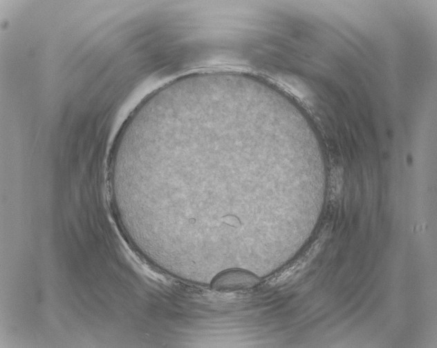 X0000061721470200512302107