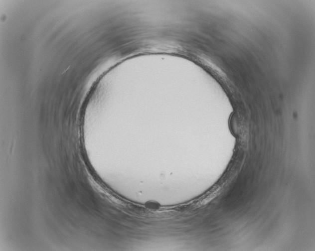 X0000061721471200512302107