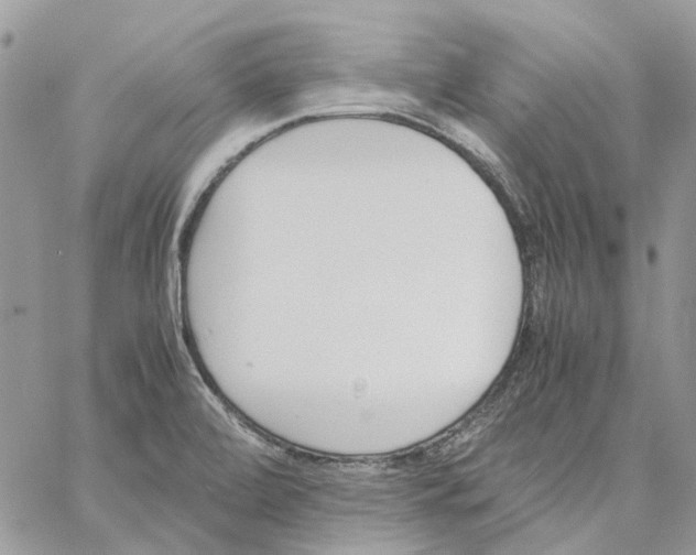 X0000061721472200512302107