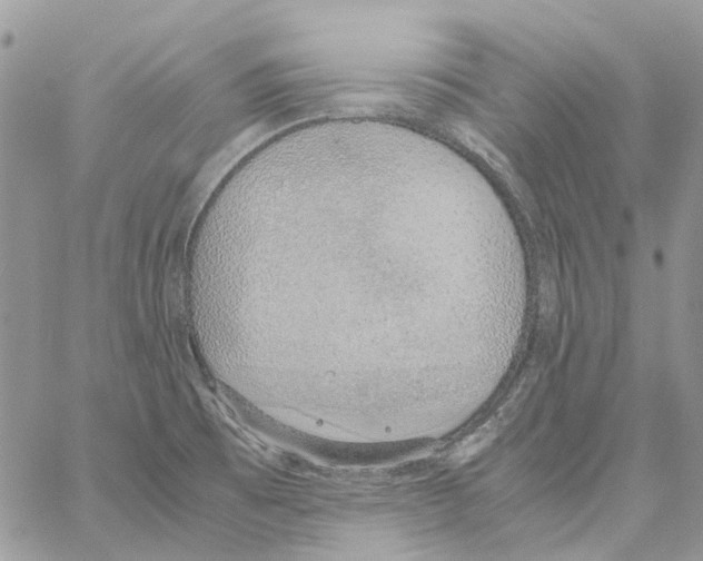 X0000061721473200512302107