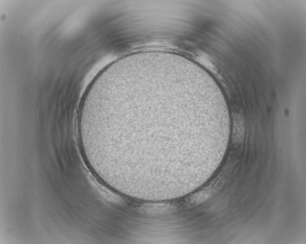 X0000061721474200512302107