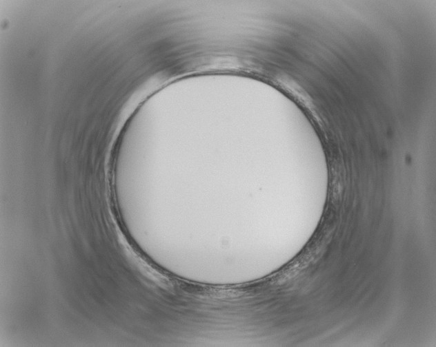 X0000061721475200512302107