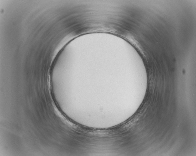 X0000061721476200512302107