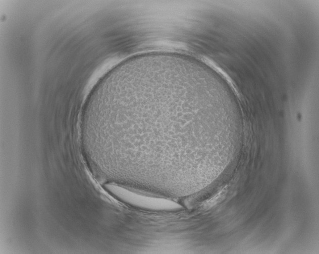 X0000061721477200512302107