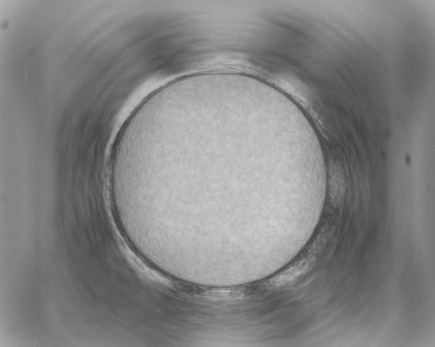 X0000061721478200512302107