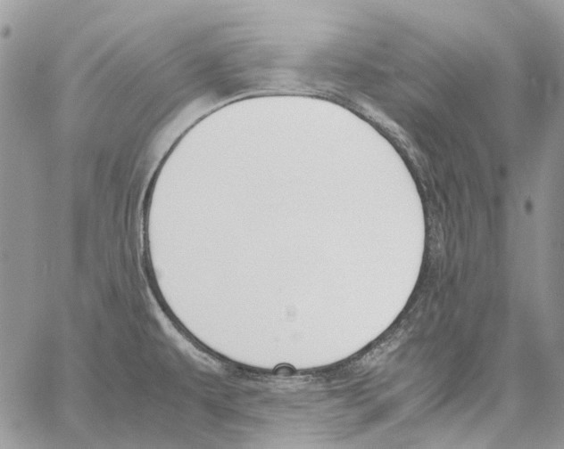 X0000061721479200512302107