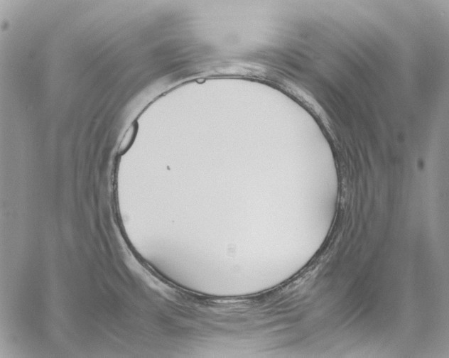 X0000061721483200512302107