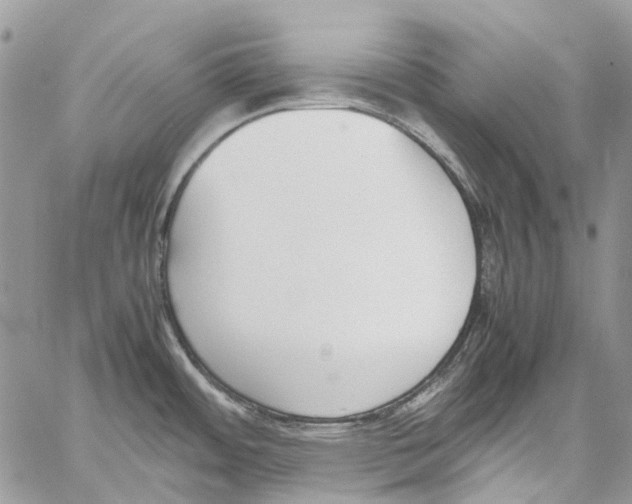 X0000061721484200512302107